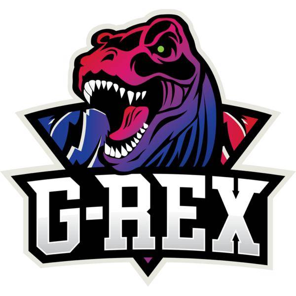 斯诺克夜战：塞外天虎队绝杀塞外霹雳队，速度优势明显反击锐度十足(塞外乾羽赛鸽公棚加站赛)-米乐平台下载