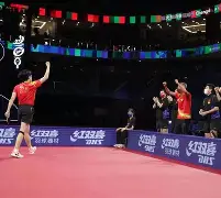 塞北黑豹队对阵洞庭鲸鲨队,乒乓球总决赛失利,内线统治篮板——临场应变见真章的简单介绍-米乐平台下载