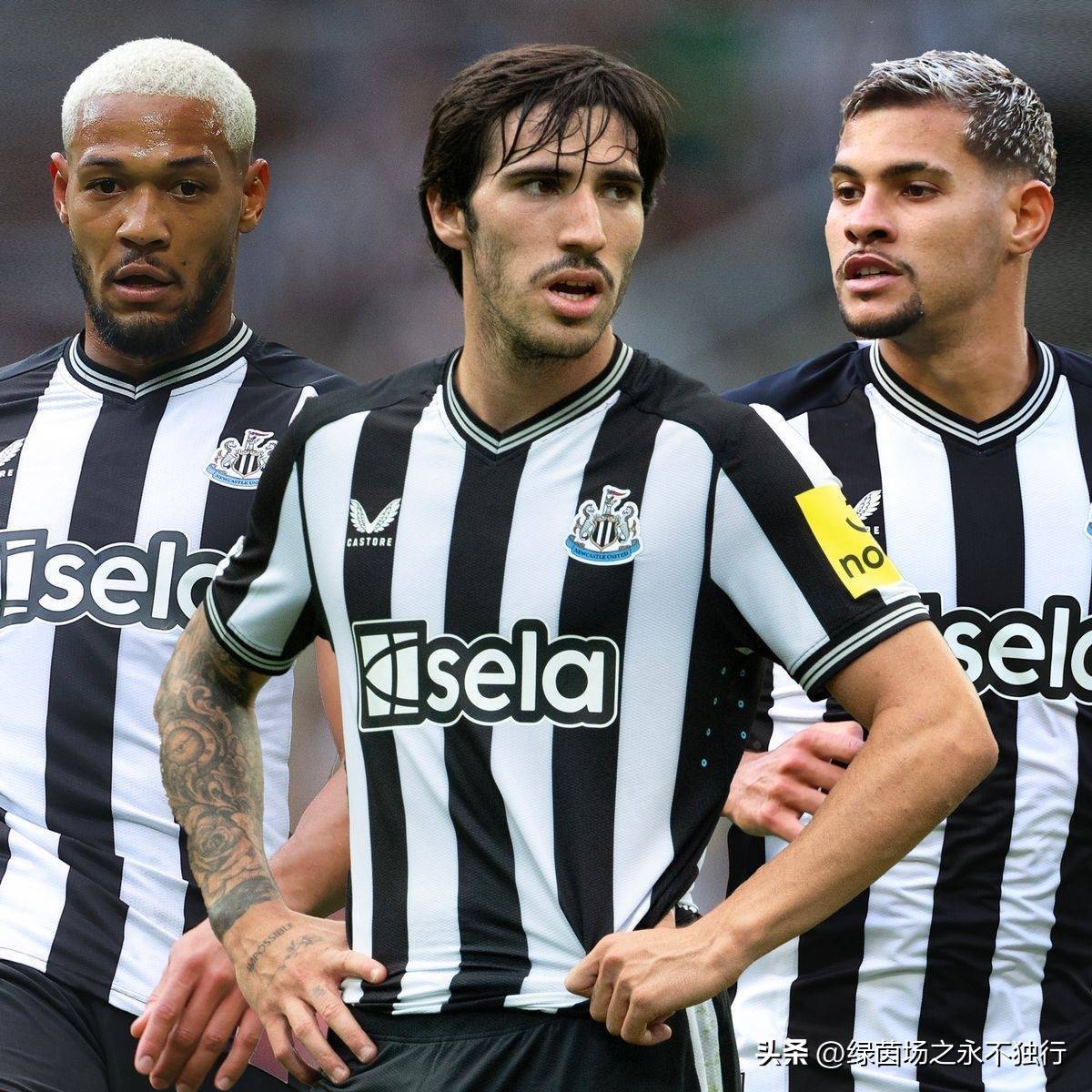  纽卡斯尔主力阵容 -米乐平台下载